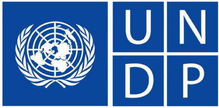 UNDP logo